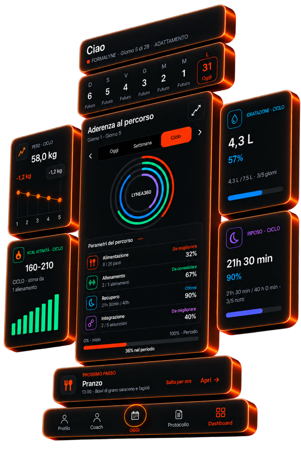 Dashboard LYNEA360